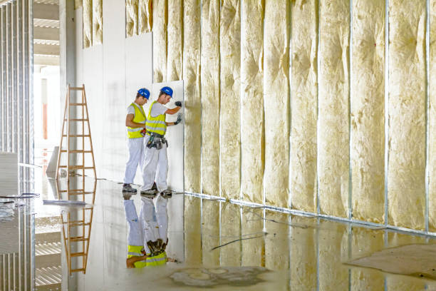 Best Specialized Insulation Services in Alva, OK